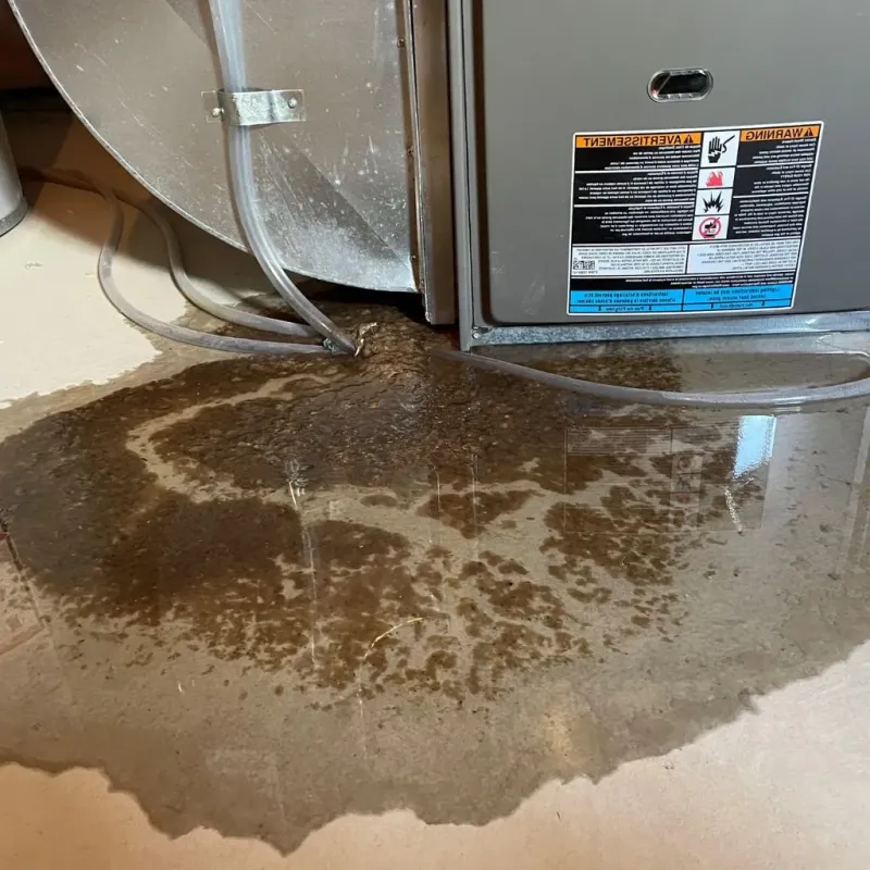 Pipe Burst and Leak Restoration in Seabrook, MD